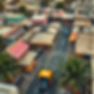 Aerial View of Al Awir Market Aerial view of Al Awir Market showcasing its vibrant surroundings and accessibility.