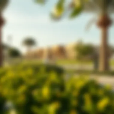 Community park in Jumeirah Village Circle