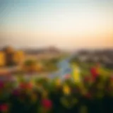 Serene landscape view of Jumeirah Village Circle