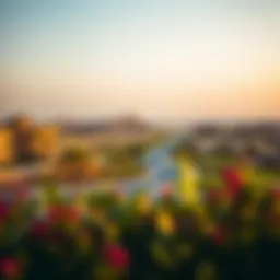 Serene landscape view of Jumeirah Village Circle